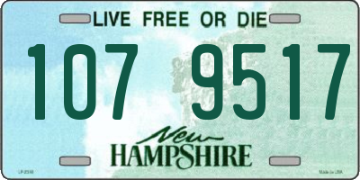 NH license plate 1079517