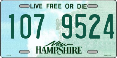 NH license plate 1079524