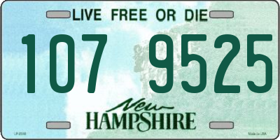 NH license plate 1079525