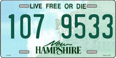 NH license plate 1079533