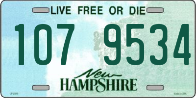 NH license plate 1079534