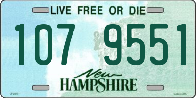 NH license plate 1079551