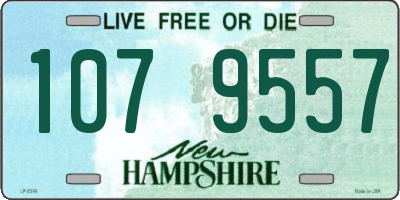 NH license plate 1079557
