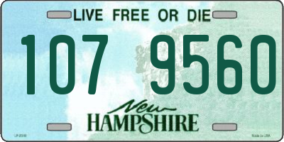 NH license plate 1079560