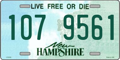 NH license plate 1079561