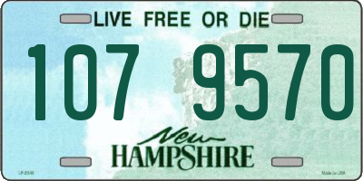 NH license plate 1079570