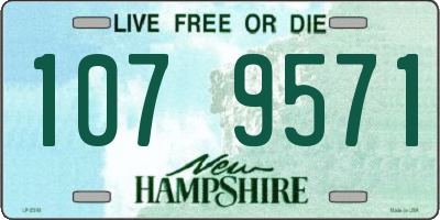 NH license plate 1079571