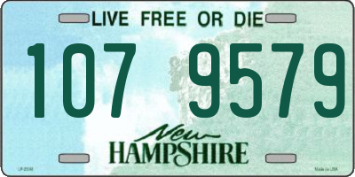 NH license plate 1079579