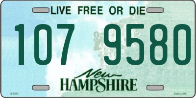 NH license plate 1079580