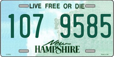 NH license plate 1079585