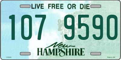 NH license plate 1079590