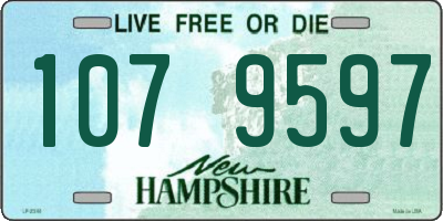 NH license plate 1079597