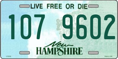NH license plate 1079602