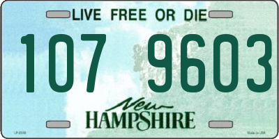 NH license plate 1079603