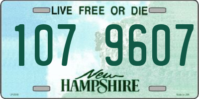 NH license plate 1079607