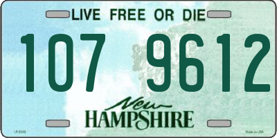 NH license plate 1079612