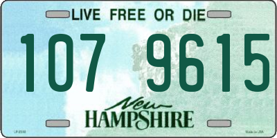 NH license plate 1079615