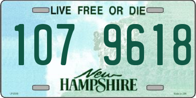 NH license plate 1079618
