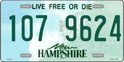NH license plate 1079624
