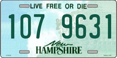 NH license plate 1079631