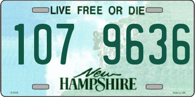 NH license plate 1079636
