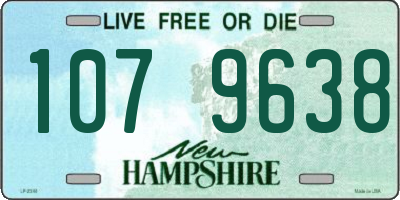 NH license plate 1079638