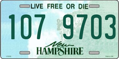 NH license plate 1079703