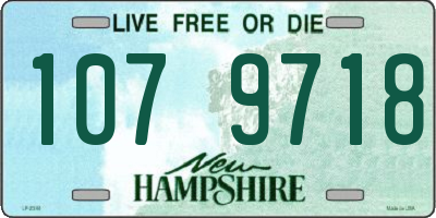 NH license plate 1079718