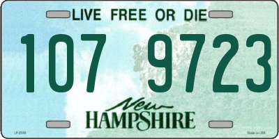 NH license plate 1079723