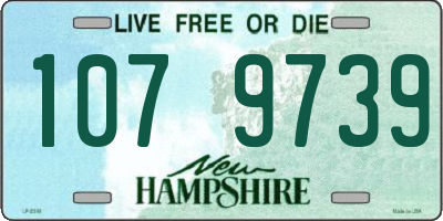 NH license plate 1079739