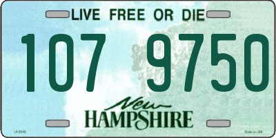 NH license plate 1079750