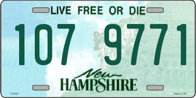 NH license plate 1079771