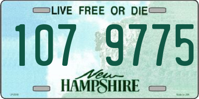 NH license plate 1079775