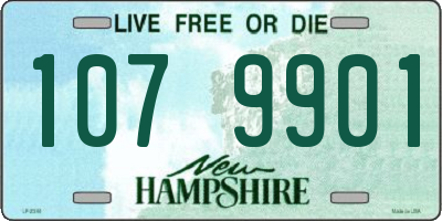 NH license plate 1079901