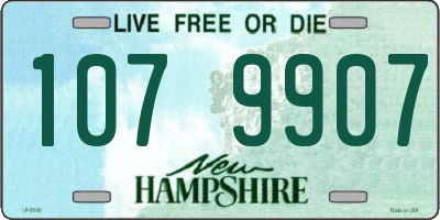 NH license plate 1079907