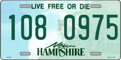 NH license plate 1080975