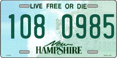 NH license plate 1080985
