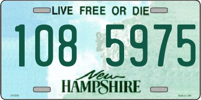 NH license plate 1085975