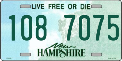 NH license plate 1087075