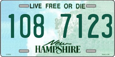 NH license plate 1087123