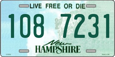 NH license plate 1087231