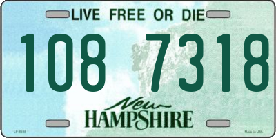 NH license plate 1087318