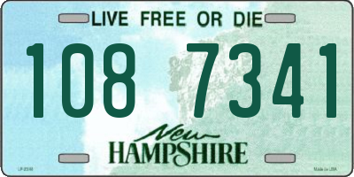NH license plate 1087341