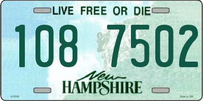 NH license plate 1087502