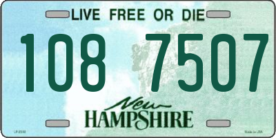 NH license plate 1087507