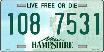 NH license plate 1087531