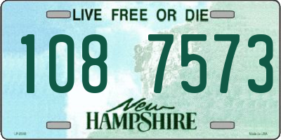 NH license plate 1087573