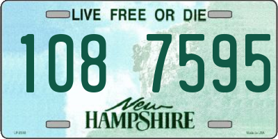NH license plate 1087595