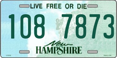 NH license plate 1087873