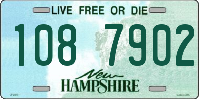 NH license plate 1087902